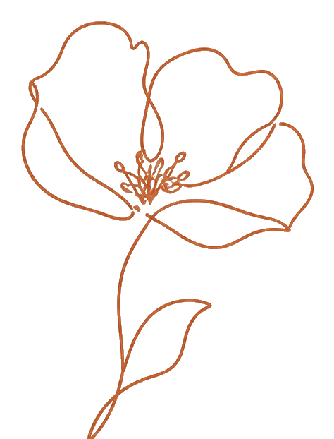 Nez à Nez